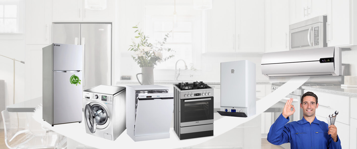 Aralık Smeg Servisi